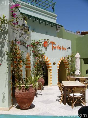 Turtles Inn Dive Club & Hotel 12